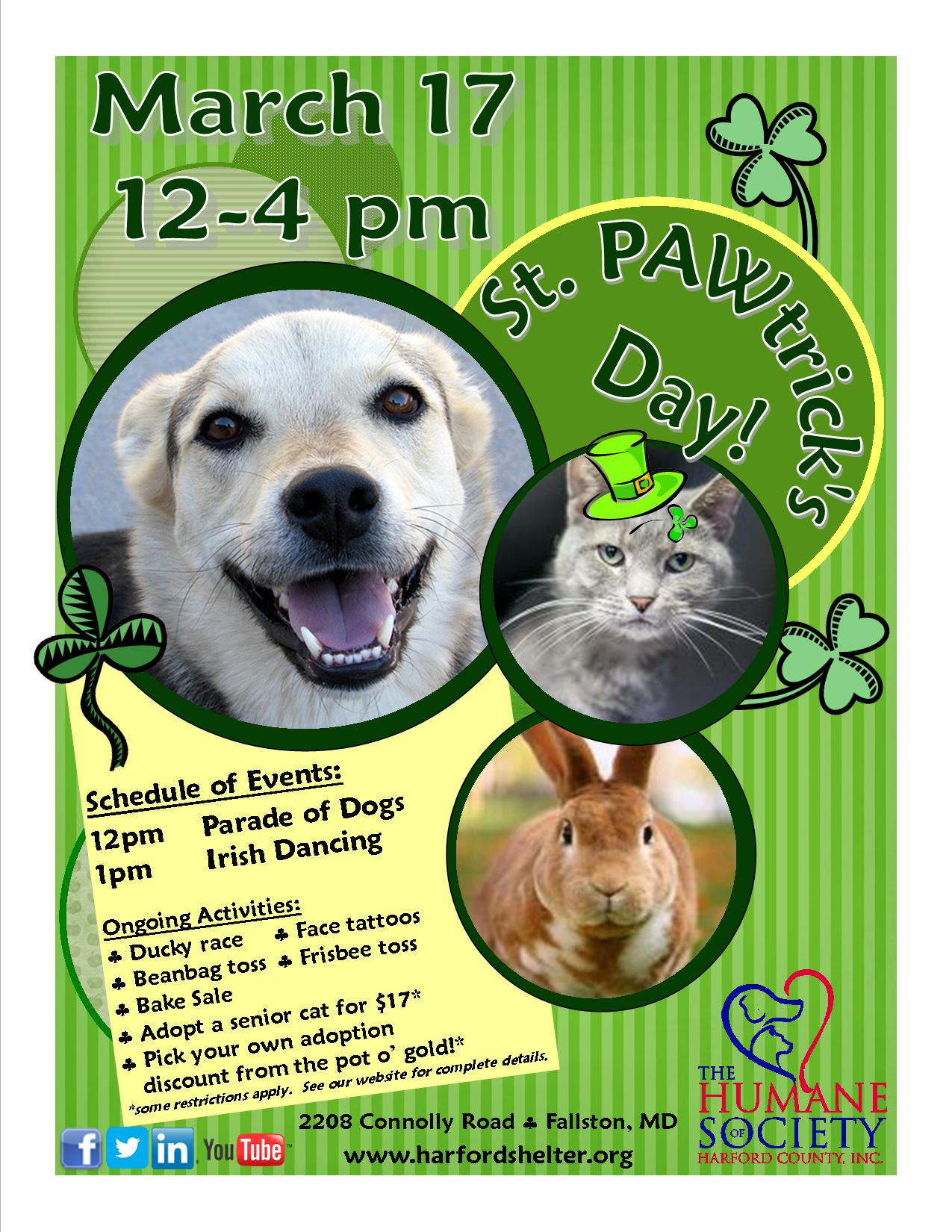 St. PAWtrick's Day Flyer