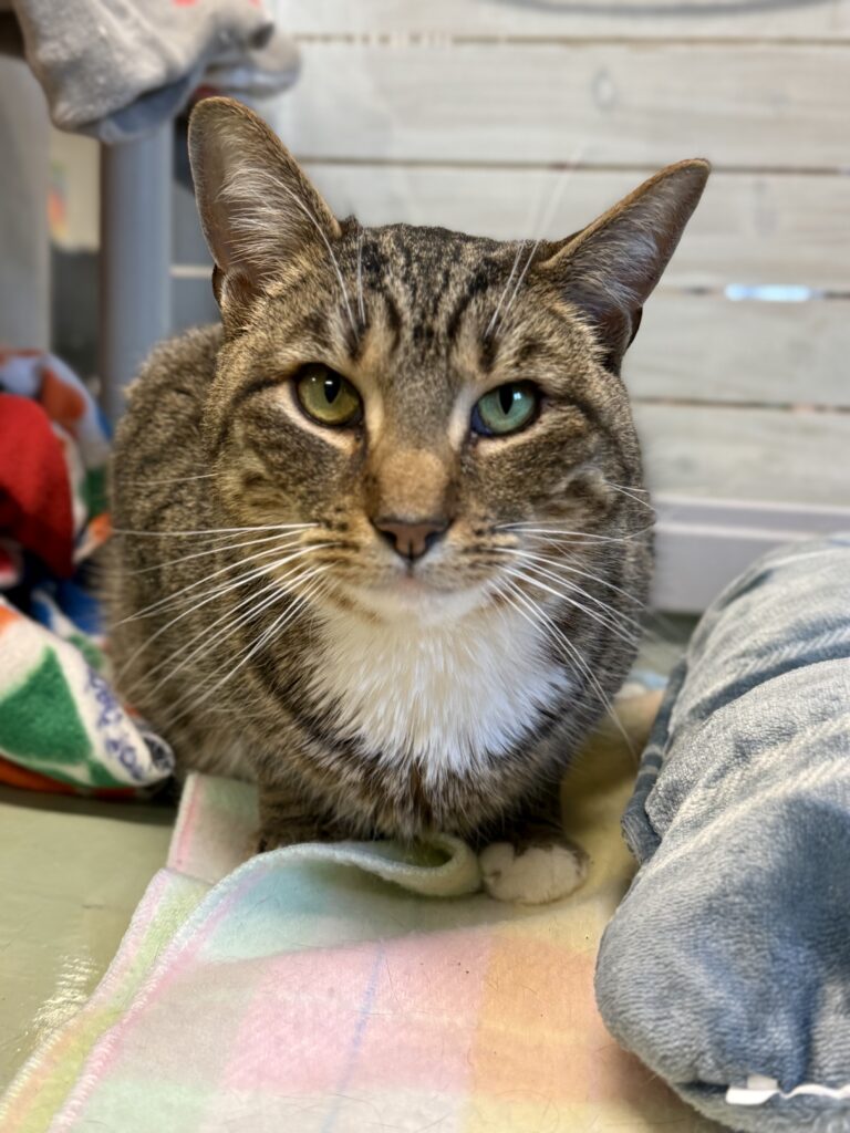 KEVIN: 5-YEAR-OLD MALE