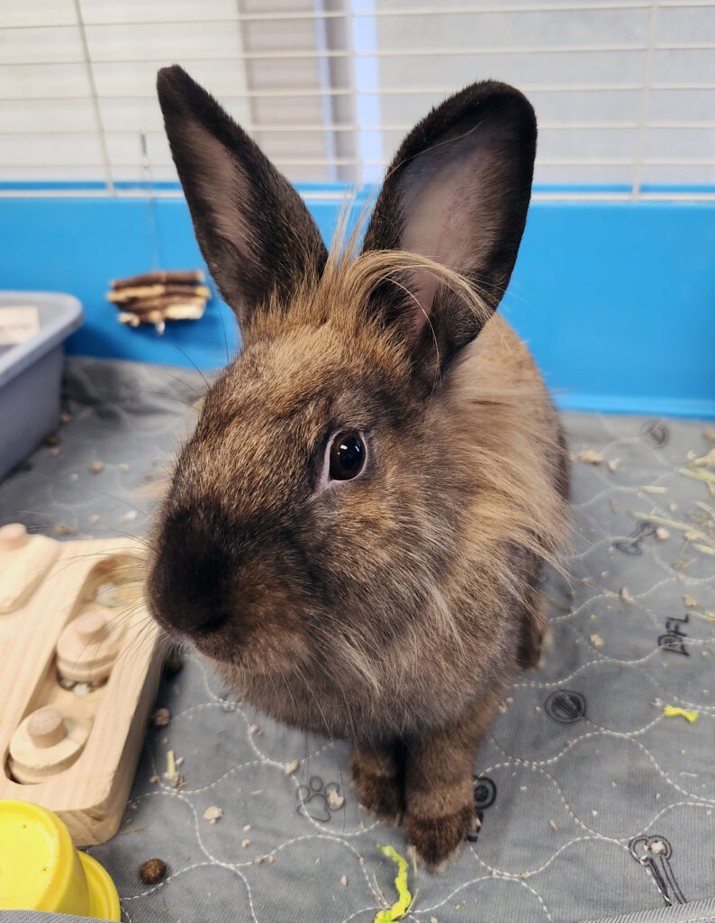 JAMIE: 1-YEAR-OLD FEMALE