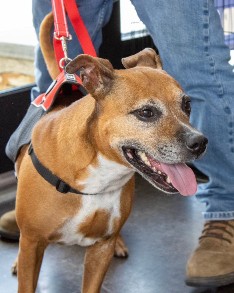 BABYGIRL: 8-YEAR-OLD FEMALE