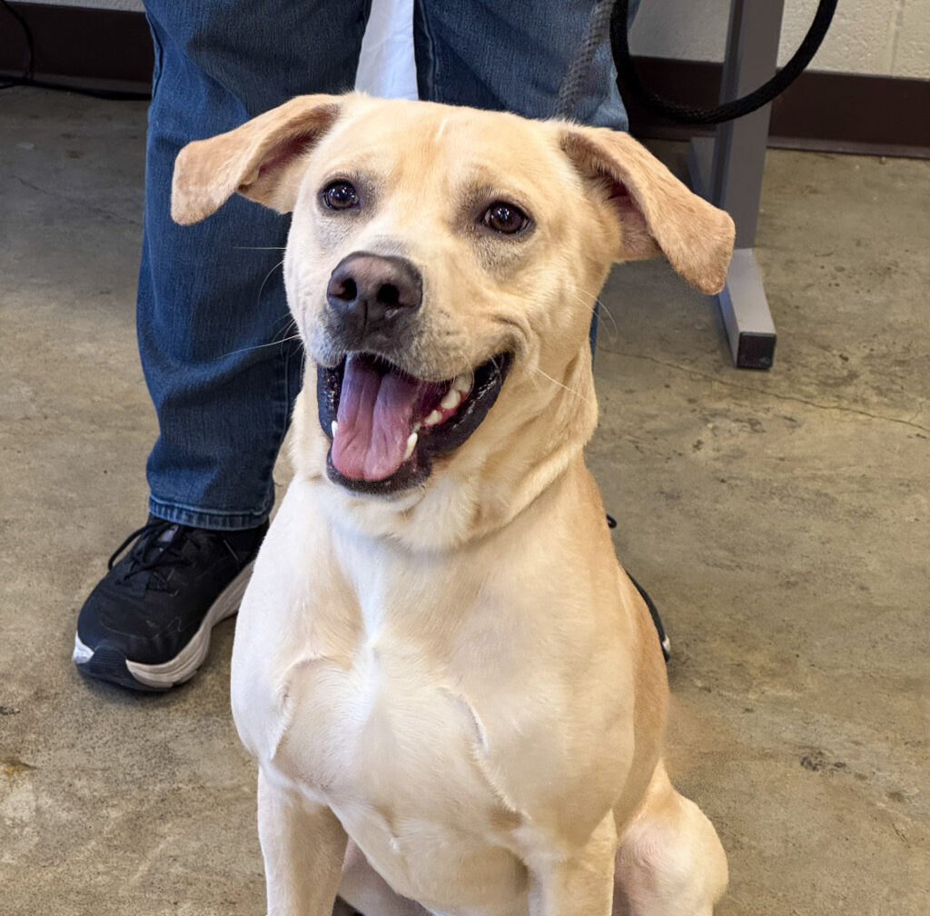 BEN: 2-YEAR-OLD MALE