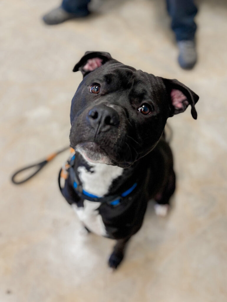 LIGHTYEAR: 3-YEAR-OLD MALE