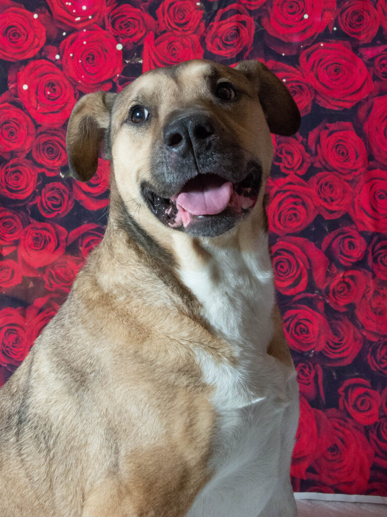 PEACHES: 11-YEAR-OLD FEMALE