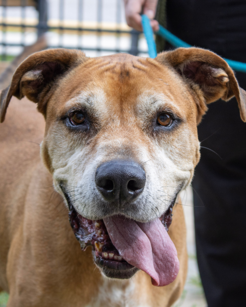 BO: 10-YEAR-OLD MALE