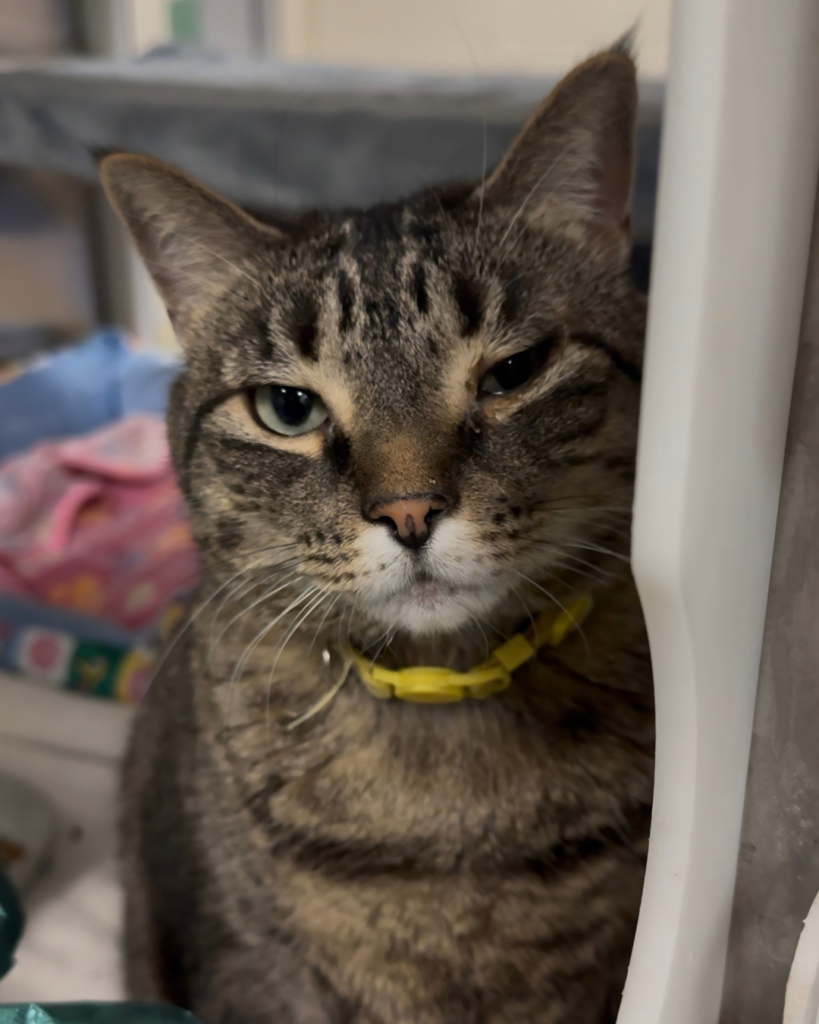 CLAIRE: 5-YEAR-OLD FEMALE