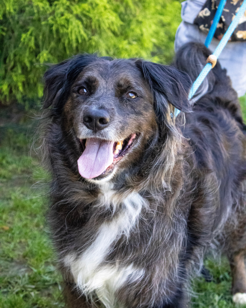 RAMSEY: 8-YEAR-OLD MALE