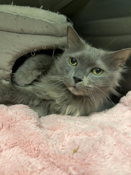 BUKI: 9-YEAR-OLD FEMALE