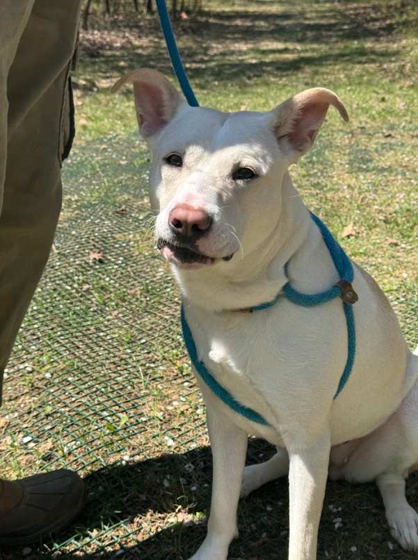 LALA: 4-YEAR-OLD FEMALE