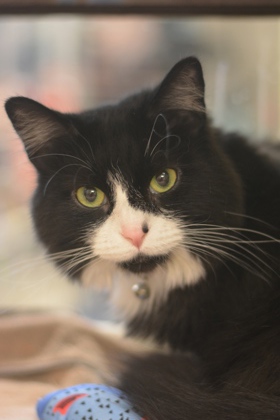 PRECIOUS: 3-YEAR-OLD FEMALE