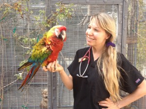 kerry-parrot
