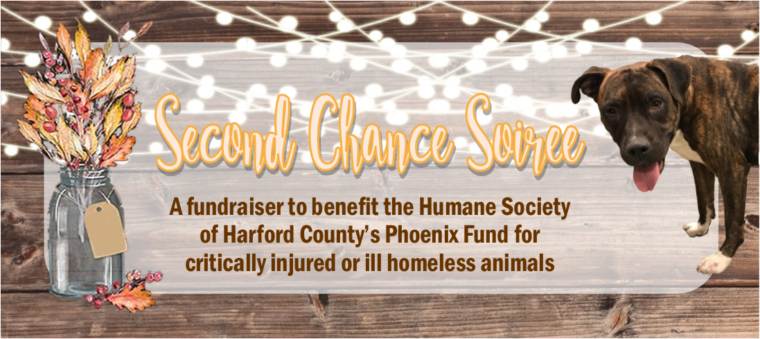 Humane Society of Harford County's Gala Funds Second Chances for Animals -  The Humane Society of Harford County