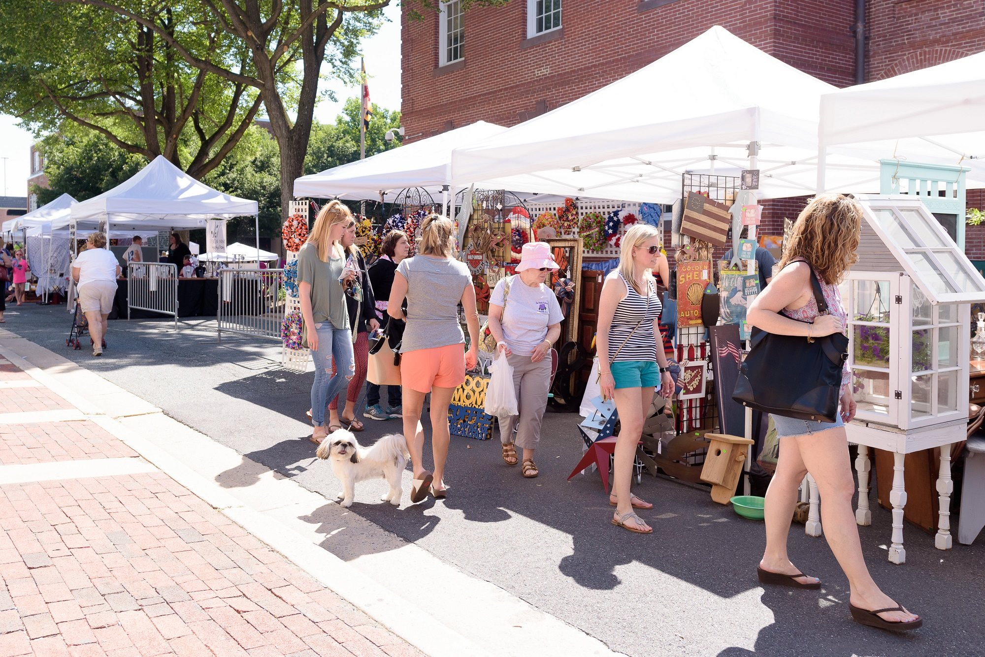 Community Event Belle Aire Market The Humane Society Of Harford
