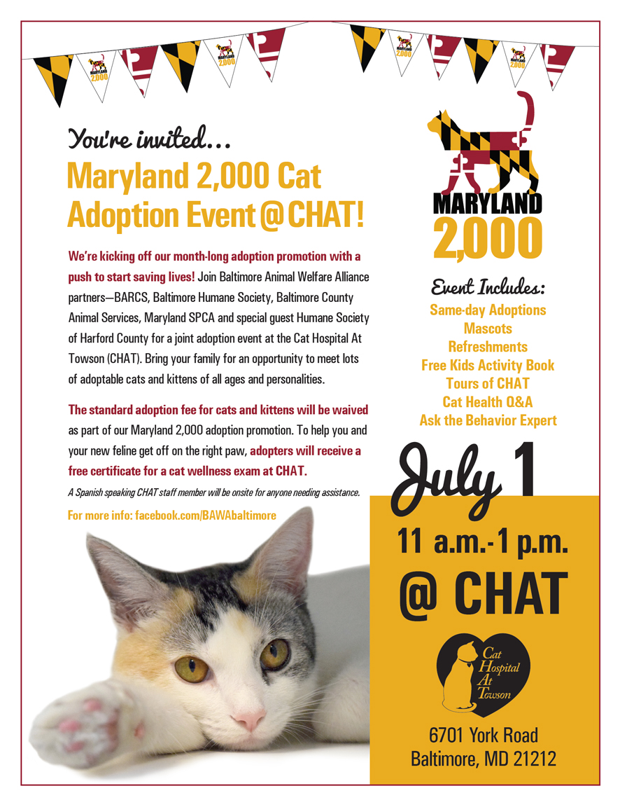 Chat Adoption Event The Humane Society Of Harford County