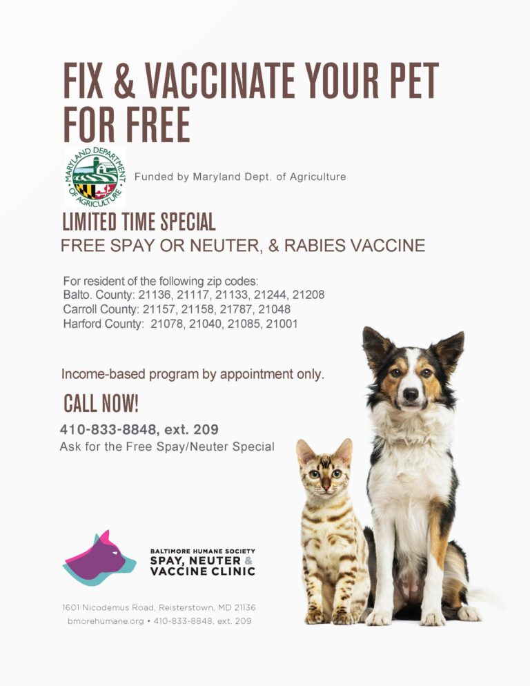 low cost spay clinic near me