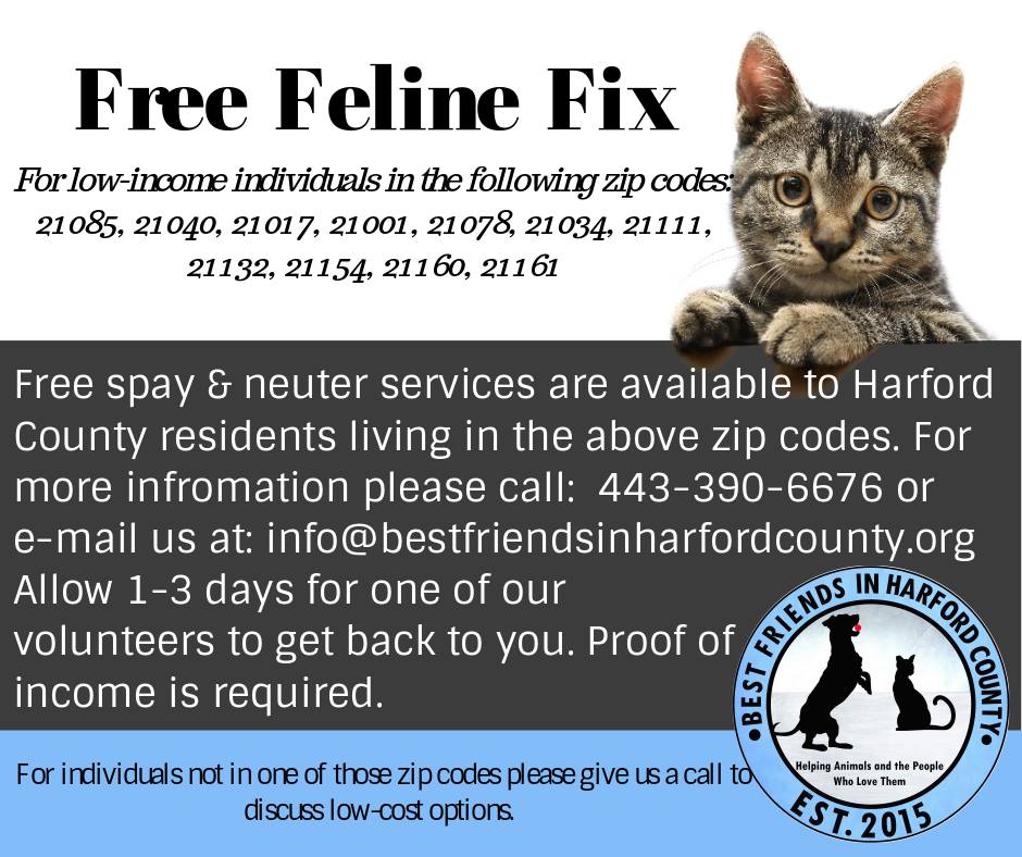 low cost spaying for cats near me