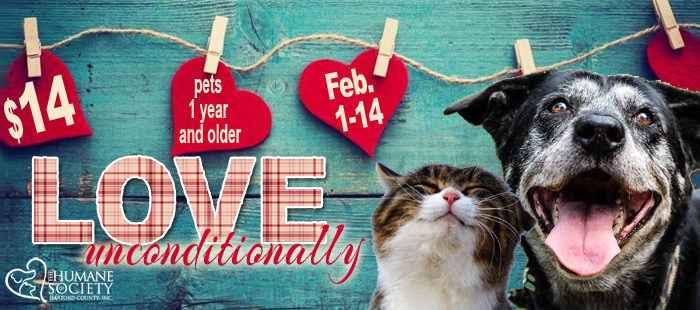 The Humane Society Of Harford County Harford County Md