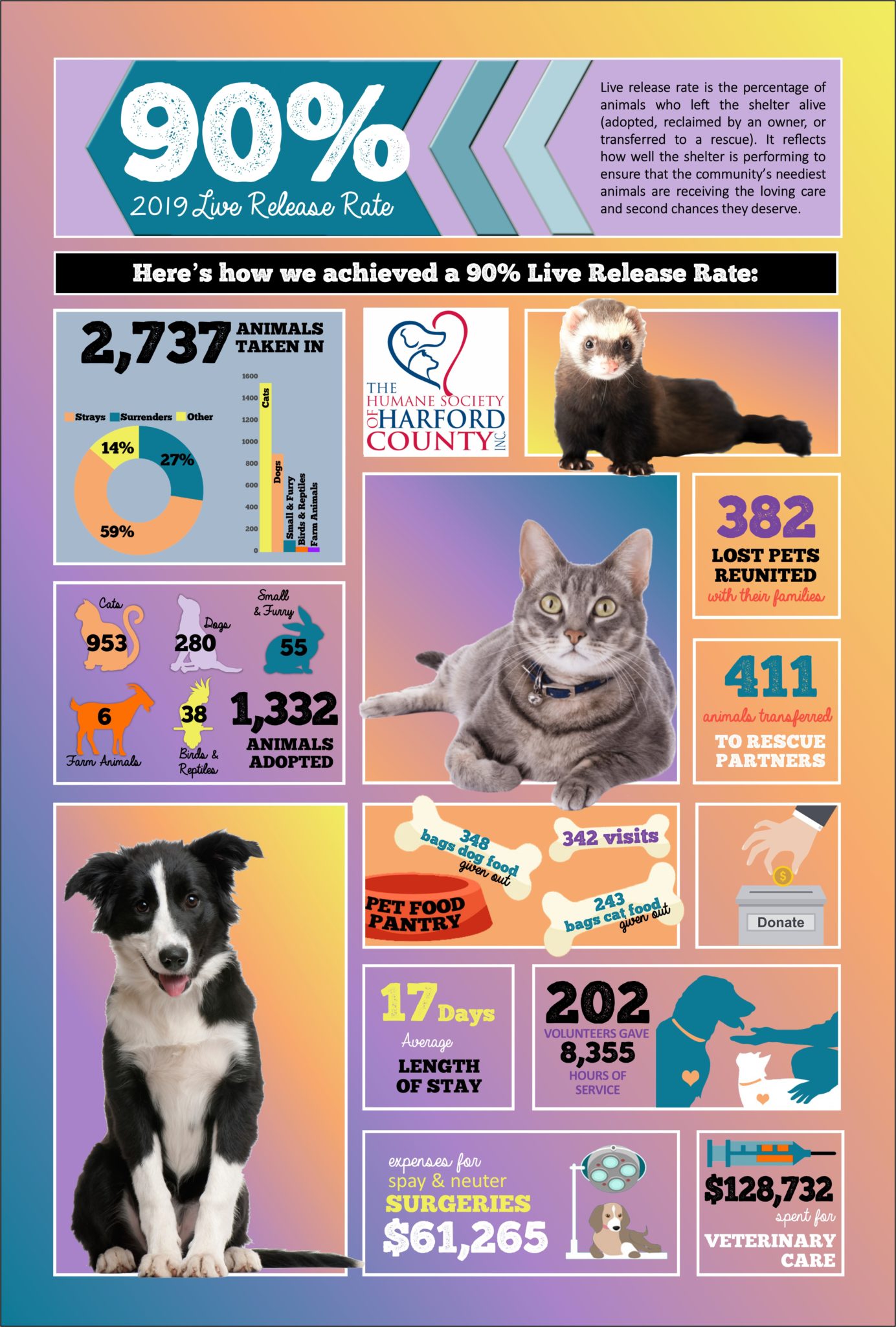 Uncover The Heartwarming Haven The Humane Society Crawfordsville Indianas Bond With Animals - ssfi7sl