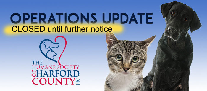 free cat day humane society