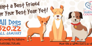 New Year, New You, New Friend!
