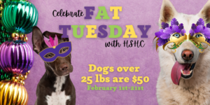 Celebrate Fat Tuesday