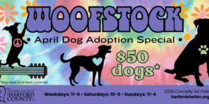 Woofstock: 30 Days of Peace, Love & Dogs