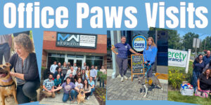 Furry Office Paws Visit