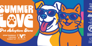 Summer of Love: Pet Adoption Store