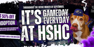 It’s Gameday!