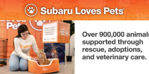 Jones Bel Air Subaru Loves Pets