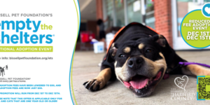 Empty the Shelters: Reduced Adoption Fees Dec. 1-15