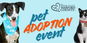 Find Your New Best Friend at PetSmart!