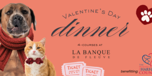 Valentine’s Day Dinner