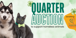 Quarter Auction