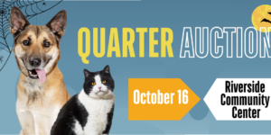 Quarter Auction
