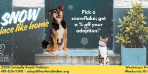 Snow Place Like Home