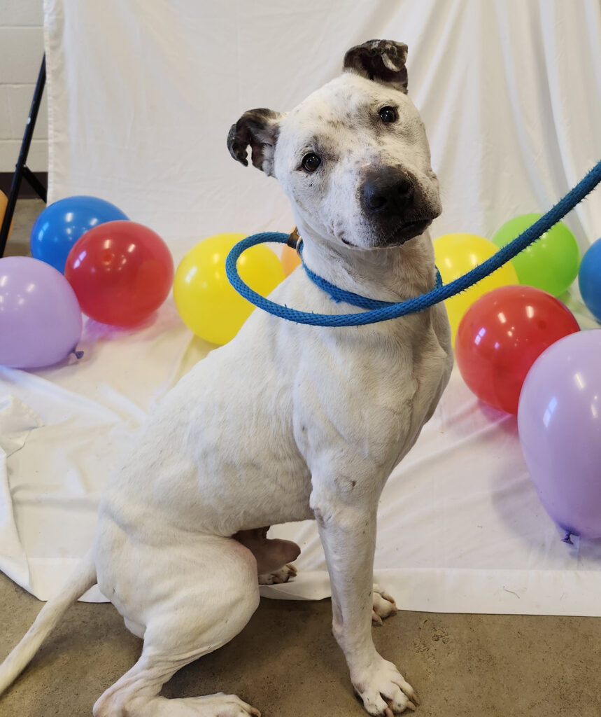 LARRY: 8-YEAR-OLD MALE