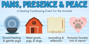 Paws, Presence & Peace