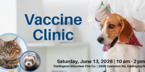 Pet Vaccination & Microchip Clinic
