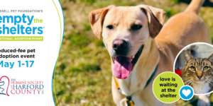 Empty the Shelters: May 1-17