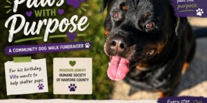 Paws With Purpose