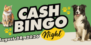 Cash Bingo