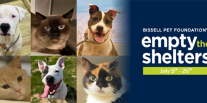 Empty the Shelters: July 5-26