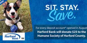 Sit. Stay. Save!