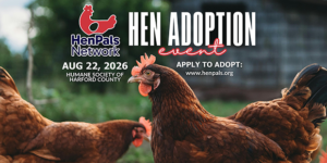HenPals Adoption Event