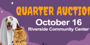 Quarter Auction