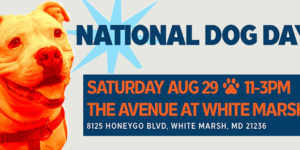 National Dog Day on The AVENUE at White Marsh